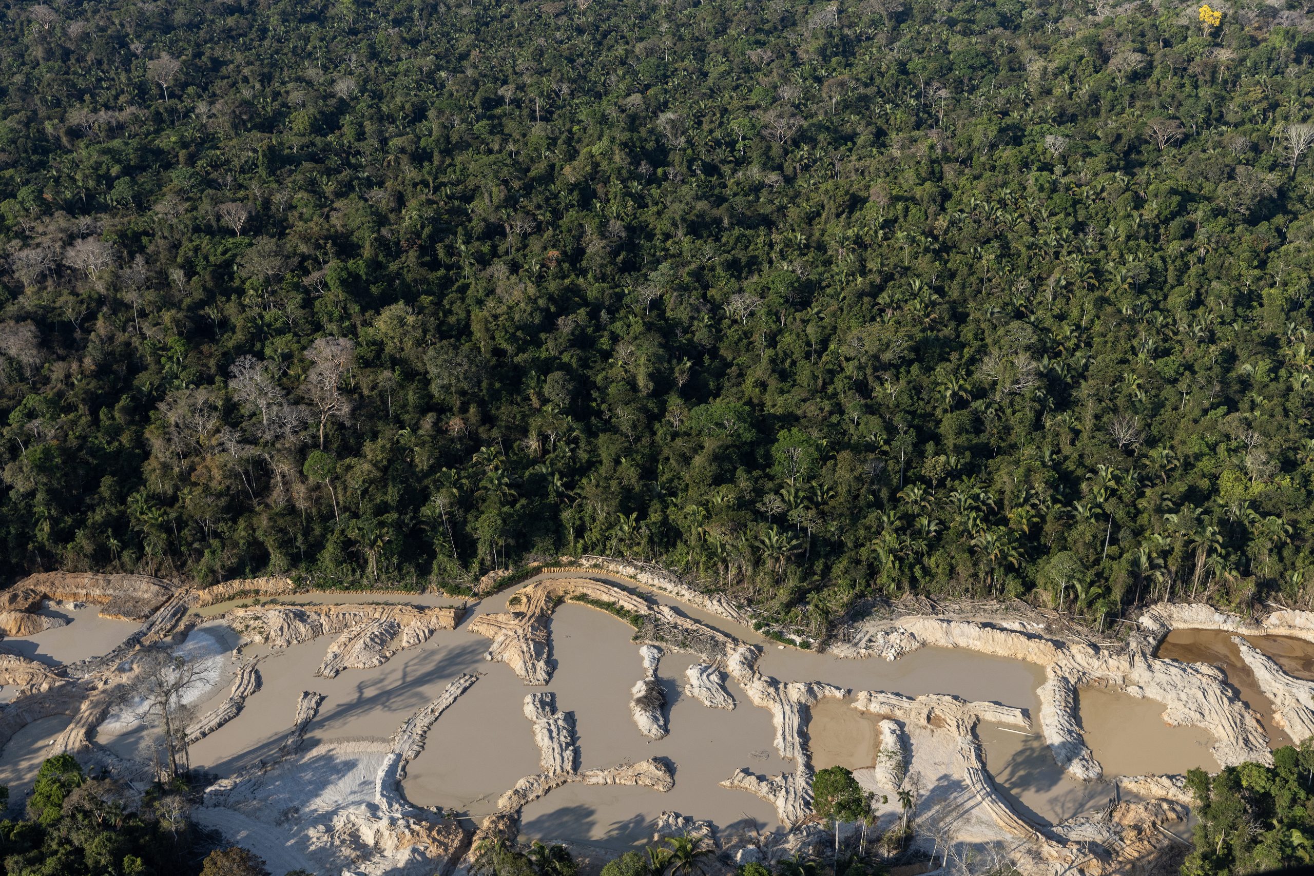Alerta: Desmatamento cresce 67% na área de influência da BR‑319 no mês de abril 
